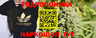 сатива Ливны