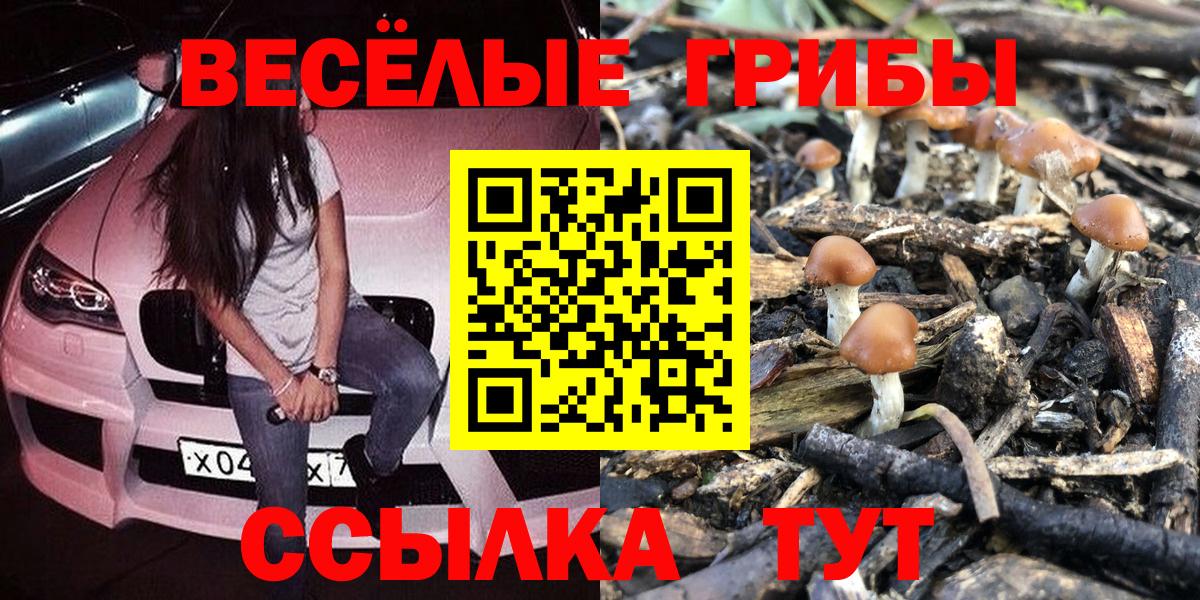 Горячий Ключ  Галлюциногенные грибы ЛСД  наркота  Вход с VPN 