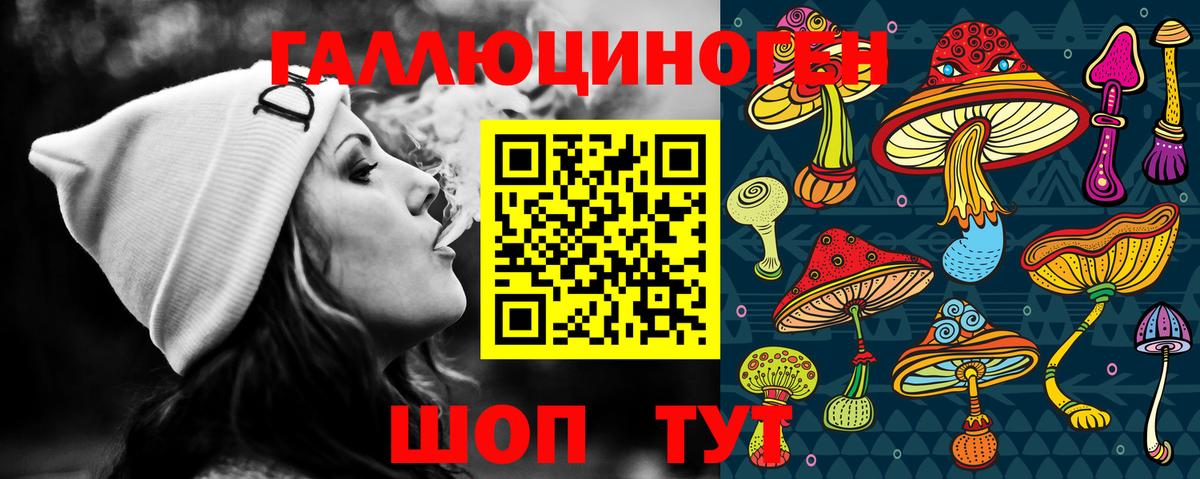 Псилоцибиновые грибы мухоморы Горячий Ключ